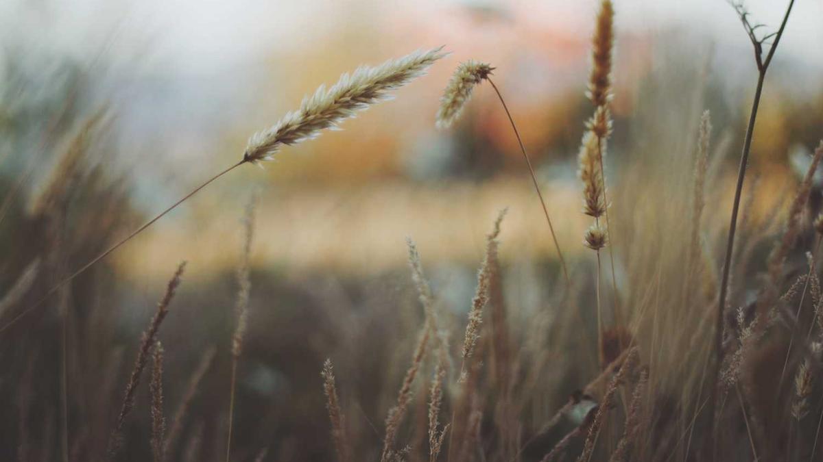 辽宁好玩的地方看看还有哪个没去过?