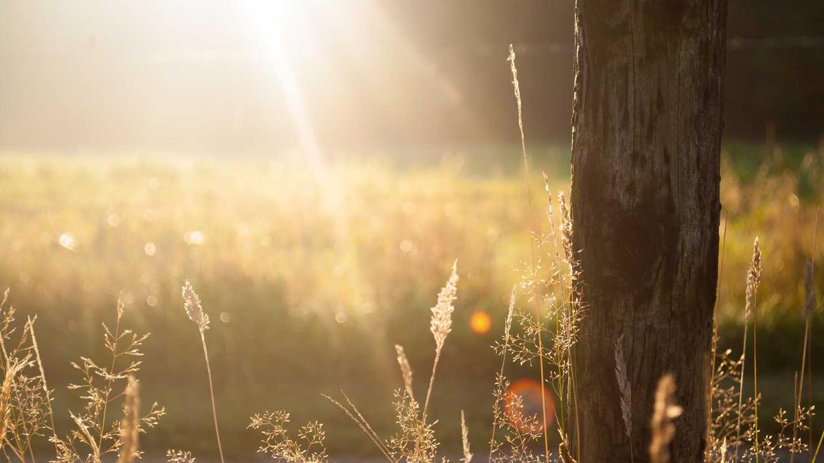 日照天气预报网未来展望