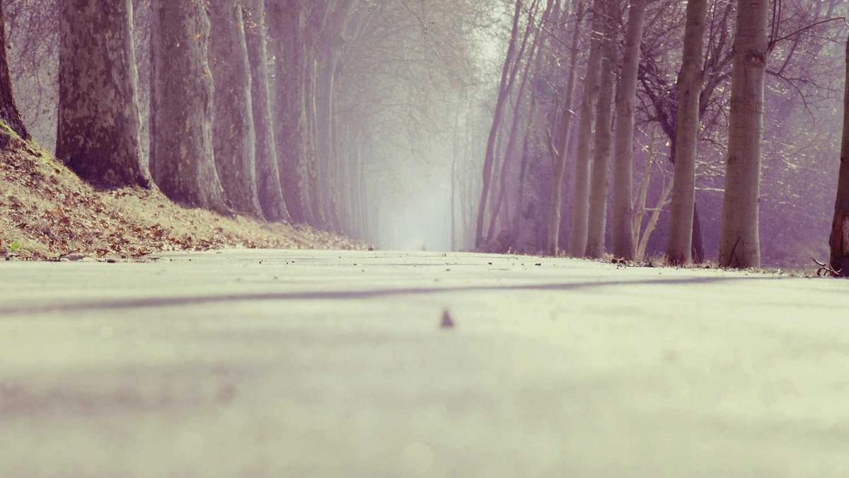 绍兴特色十大小吃