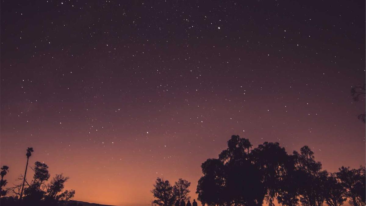 崇明东滩海上明月地址