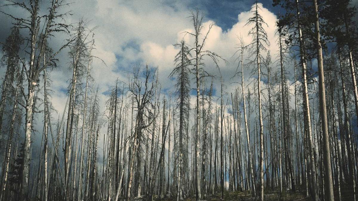 阳泉职业技术学院是公办还是民办