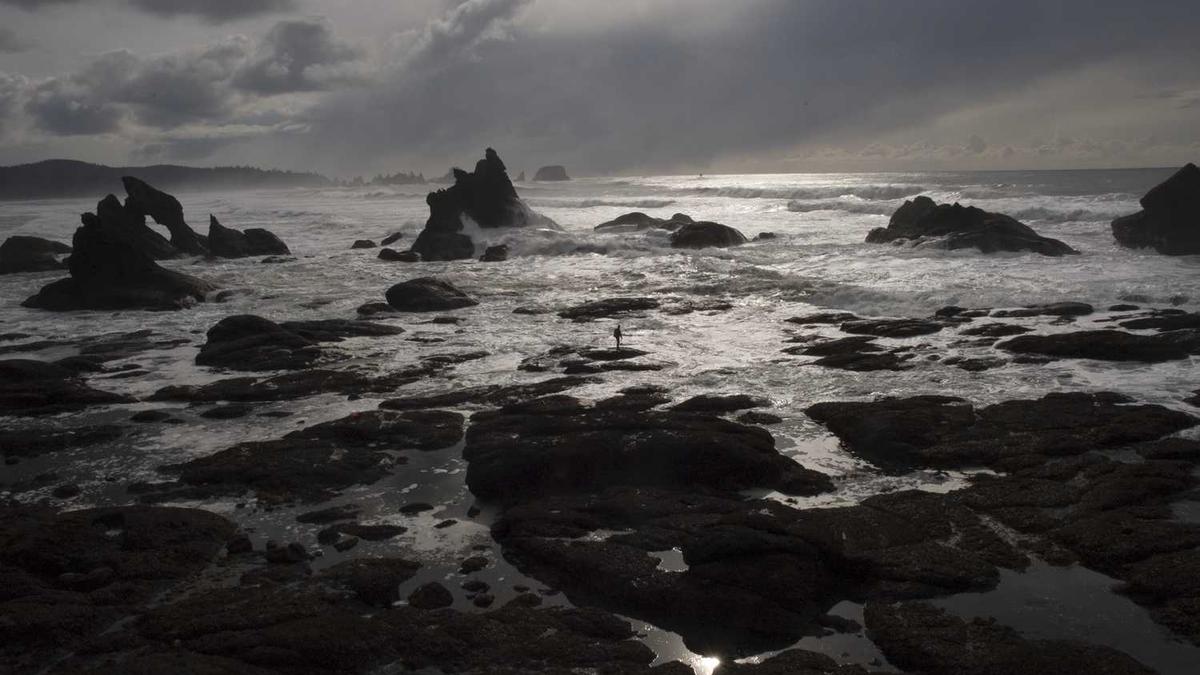 江西省有多少个市区分布图