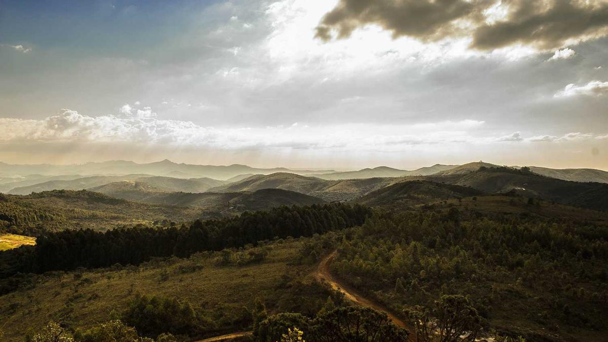 温州一家人各个人物结局