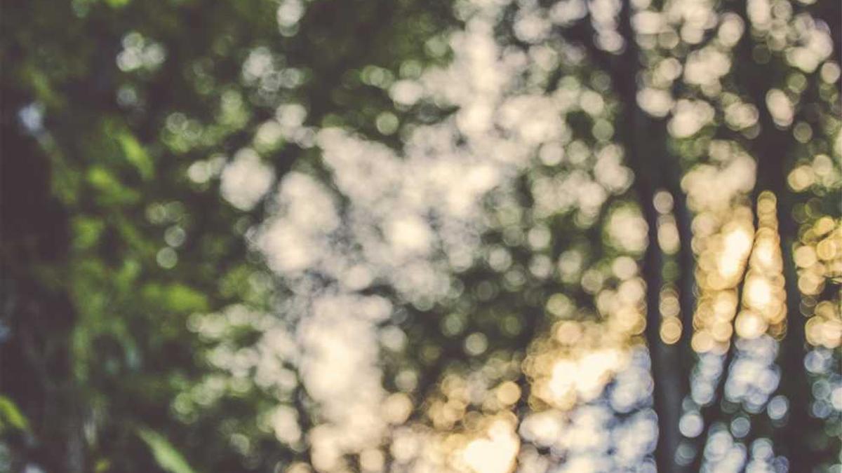 鞍山千山景区仙人台景点