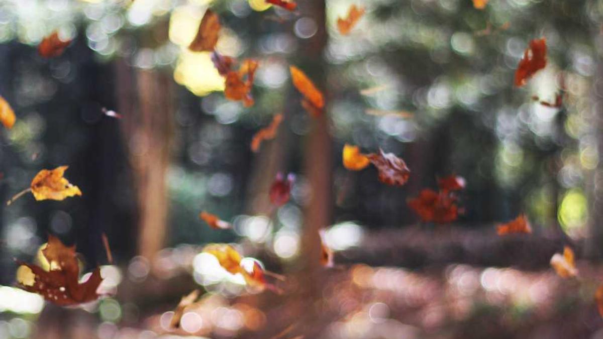 株洲避暑胜地有哪些