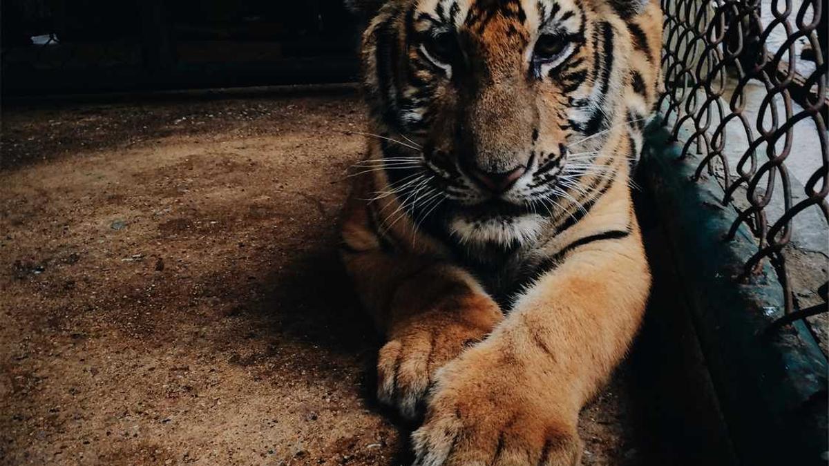 防城港买房子后悔了