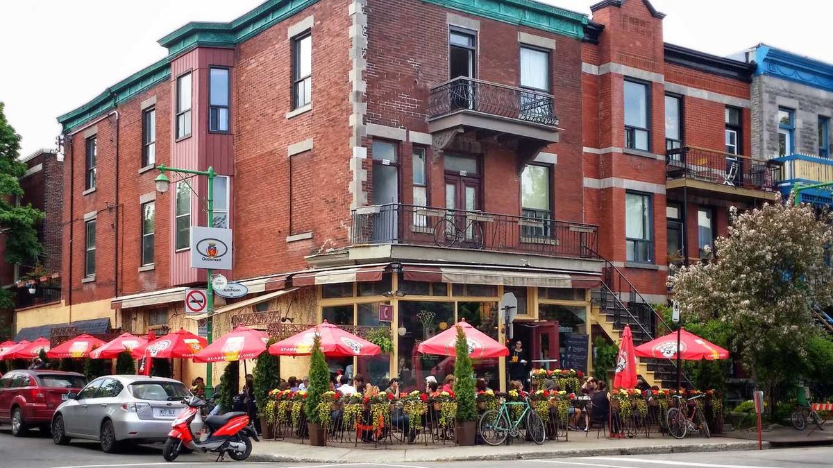 裴冬生科研成就