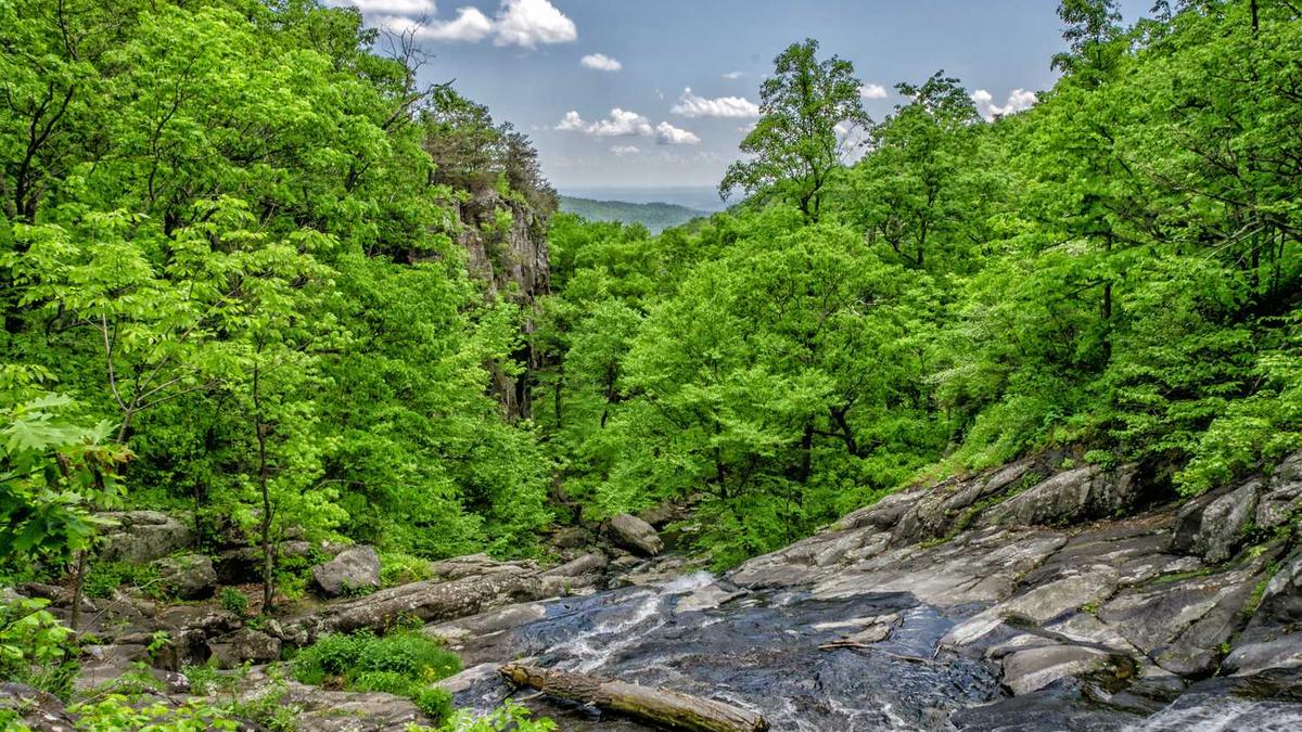 郑州取暖费优惠券怎么领取的