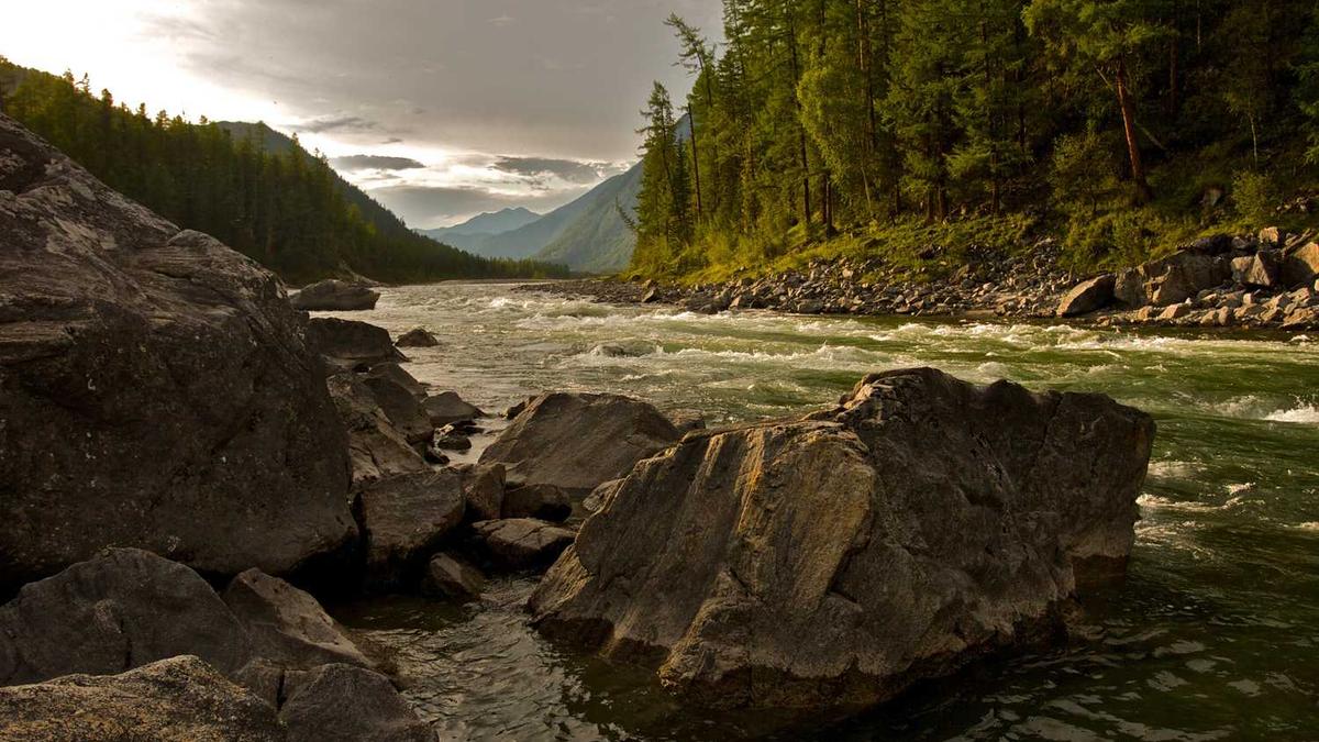 建业在鹤壁的项目