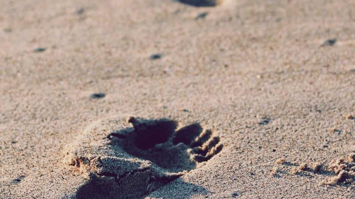 乐山市沙湾区沫若中学学校简介