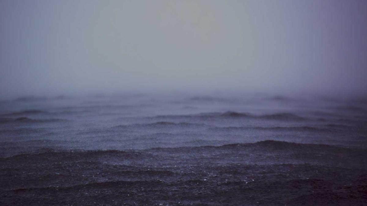 广西宁明县利之源进出口贸易有限公司怎么样?