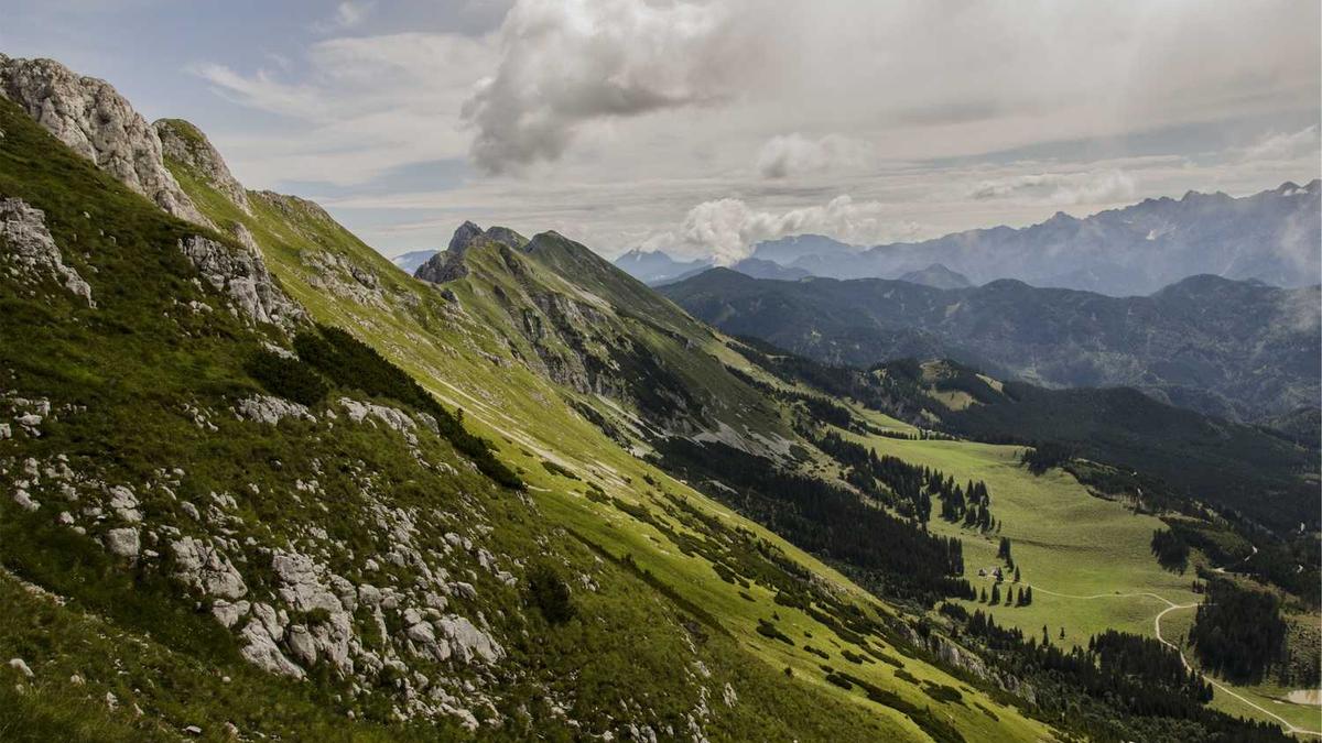 阳泉市人民政府机关事务管理局内设机构