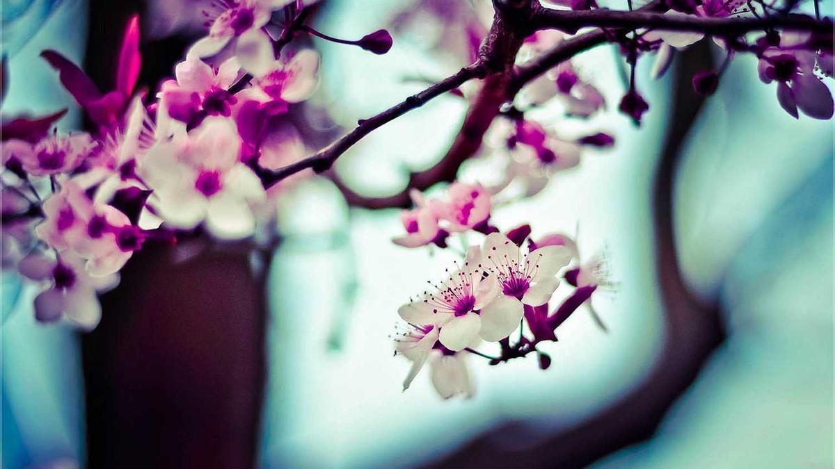 东莞市虎门镇房价多少钱一平