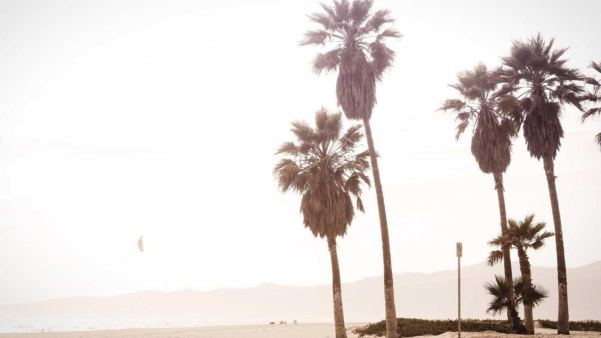 遂宁城区天气预报,遂宁市天气情况