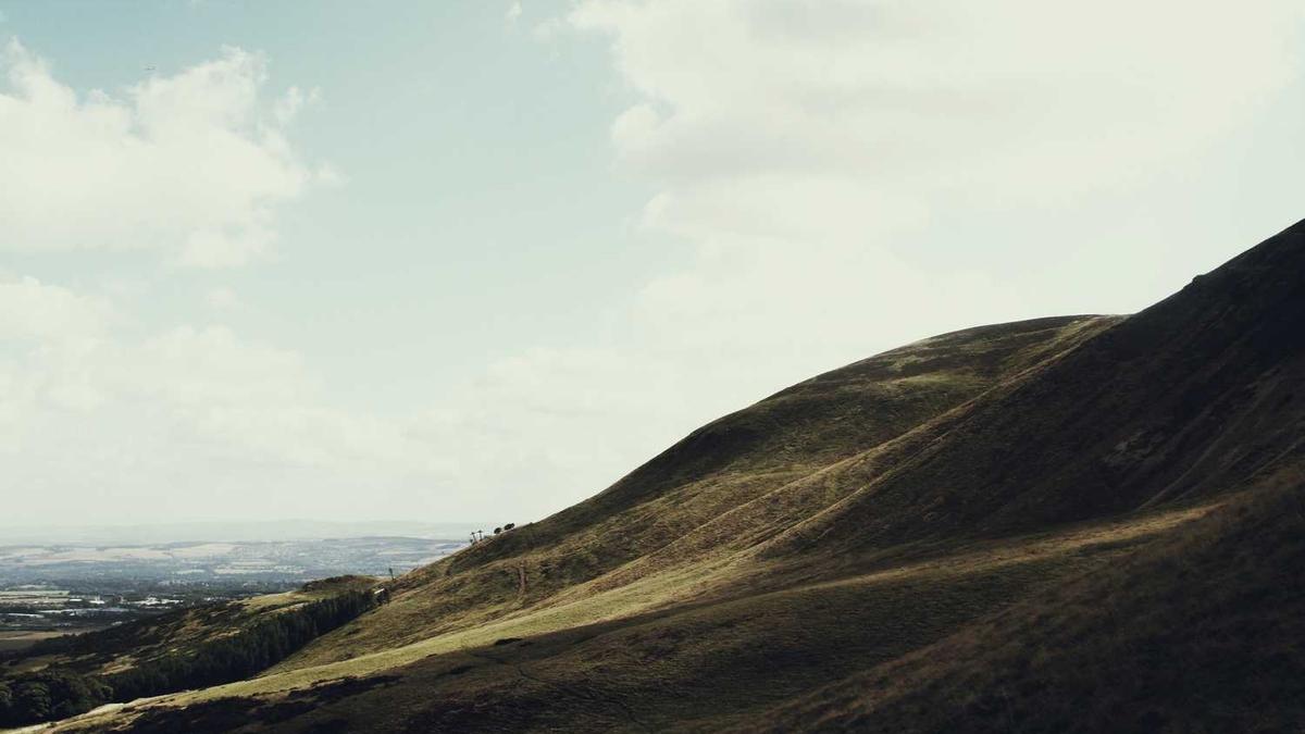 仙人跳是什么意思