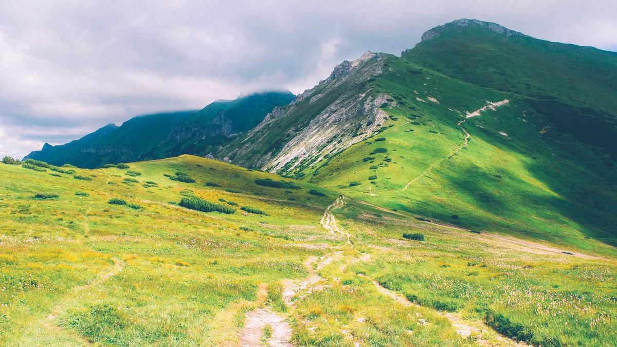 上海人都是从哪来的