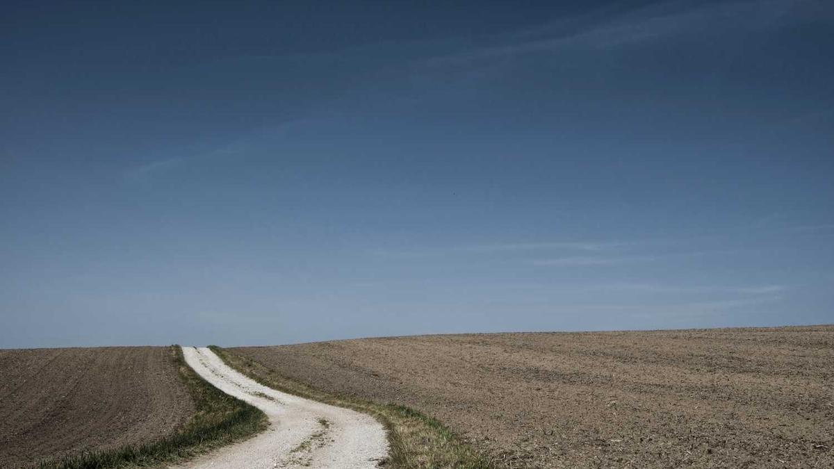 广州海珠湿地公园发现稀有昆虫新物种,暗示了什么?