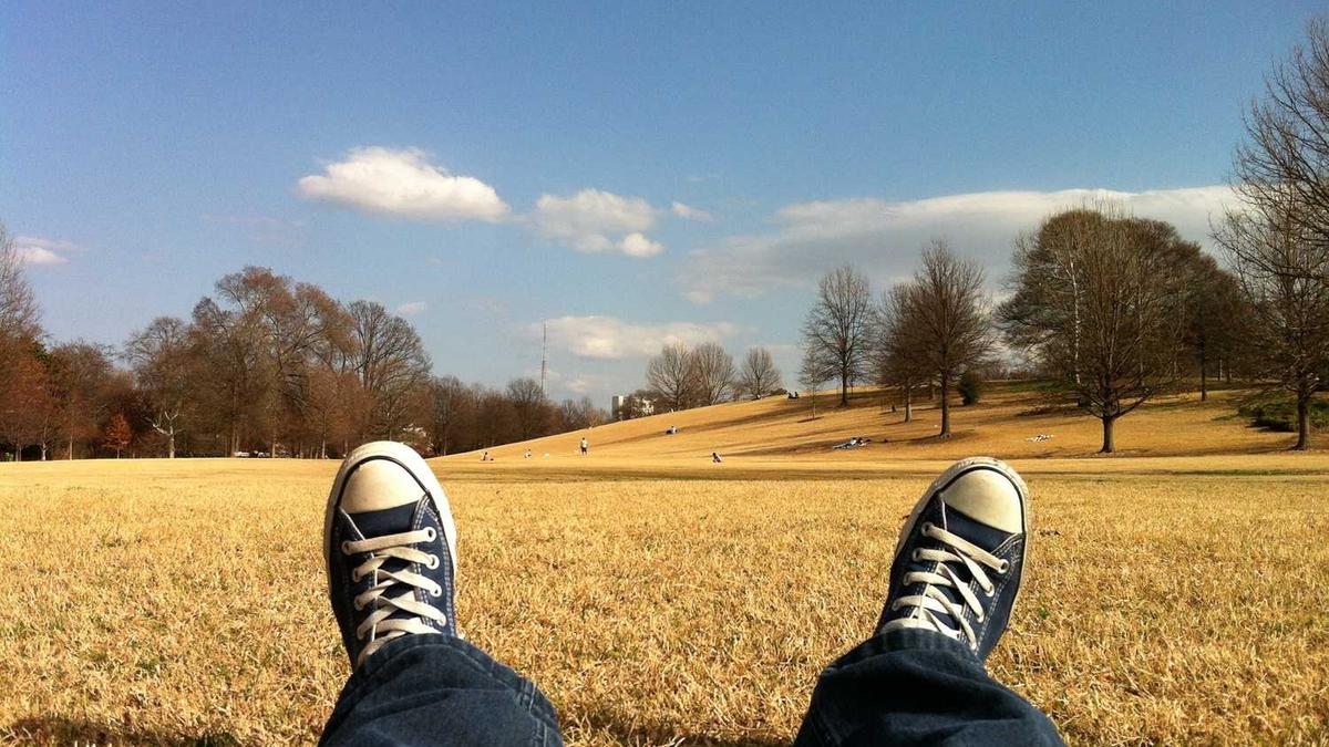 开展养老保险宣传简报