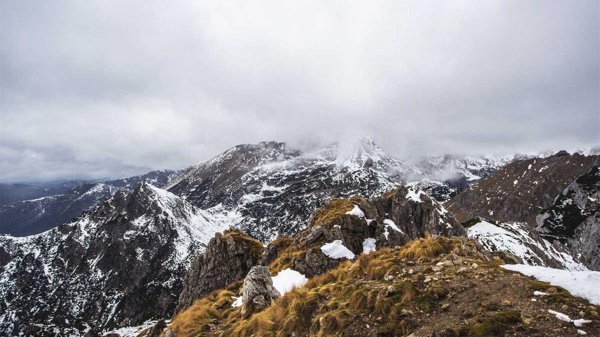 2014广西卫生高级职称评审通过人员名单(综合)