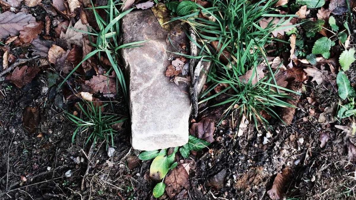 事业单位通过参加机关党支部活动落实党建工作责任