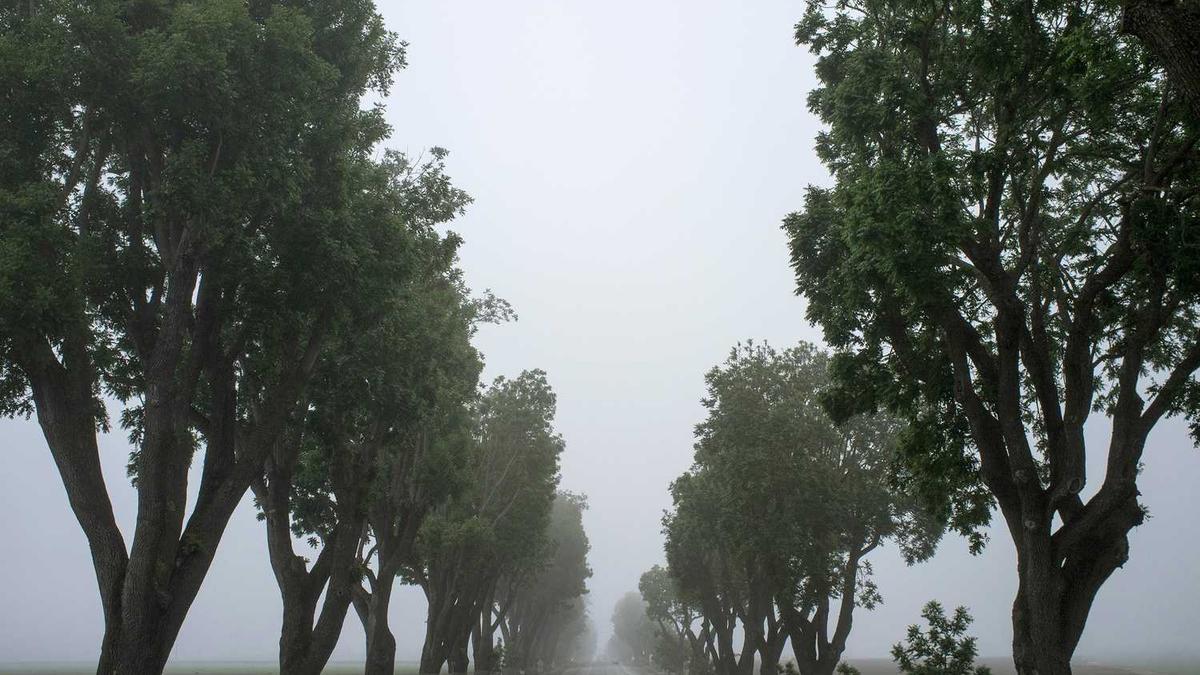 驻马店确山能放烟花吗