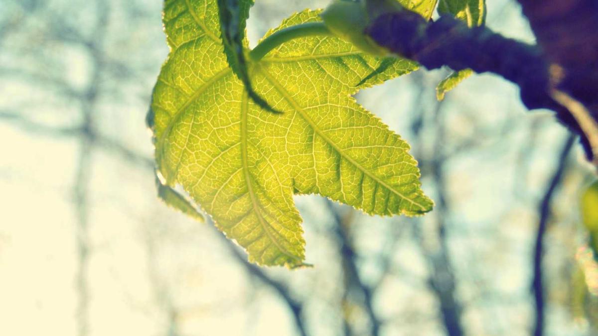 郭力维的案情梗概?