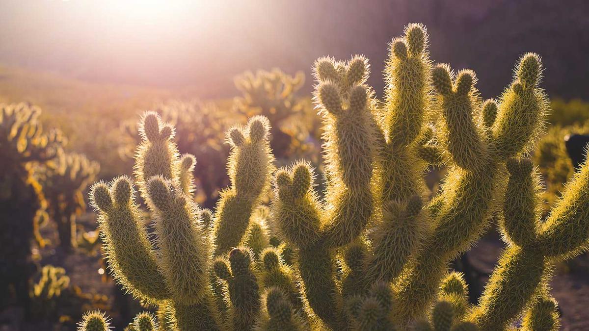 山西太原上户的亲子鉴定可以到哪里做?