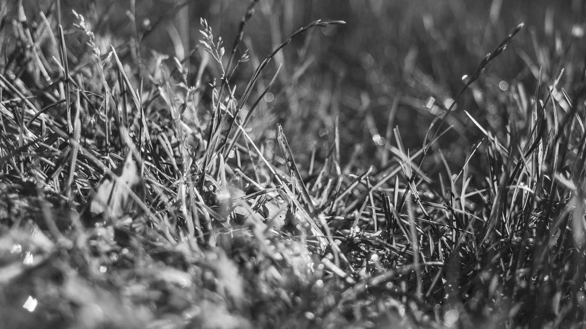 杭州必去三个景点