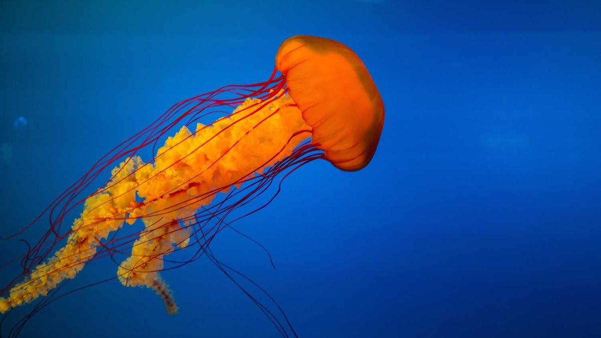 擘画“十四五”: 透过规划纲要看房地产未来发展