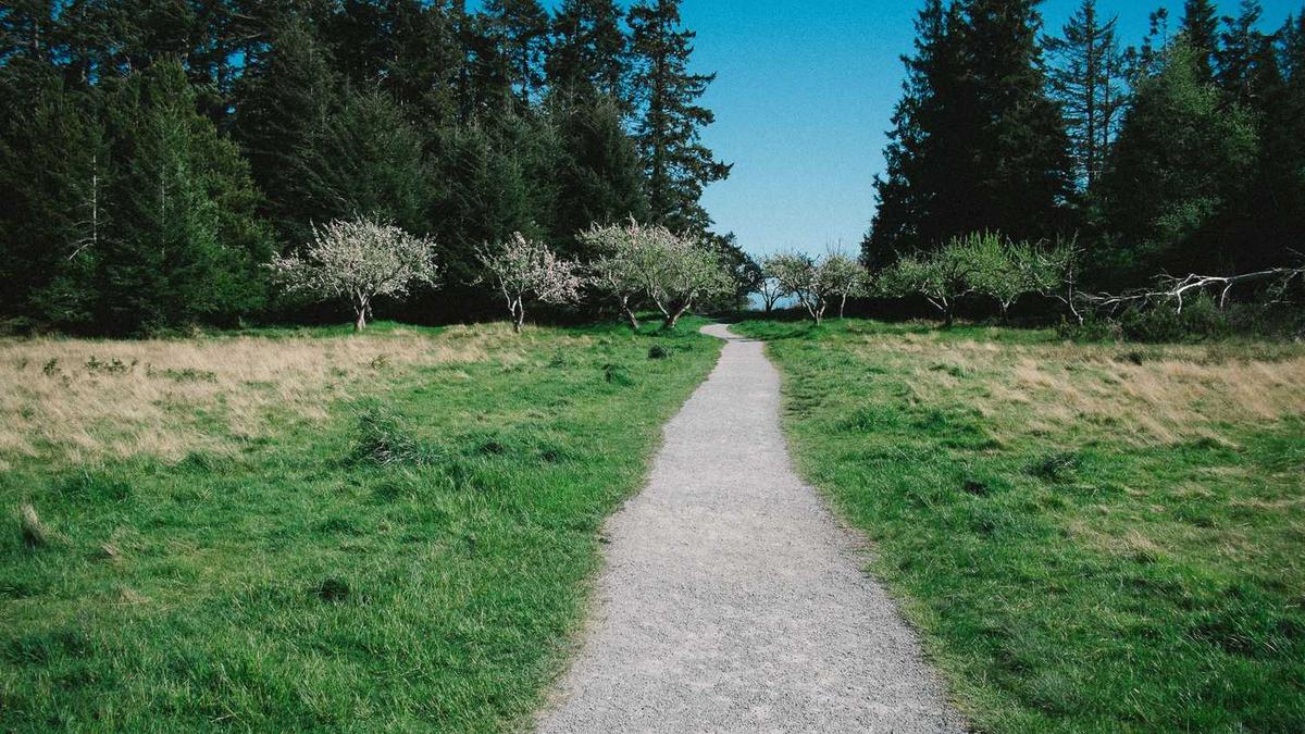 新能源网约车（如秦EV）换佳通什么胎划算？