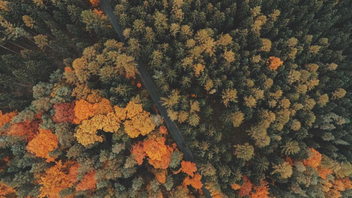 我在连云港市区想明天到花果山去玩然后到海边住该怎么安排