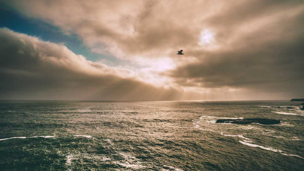 富硒大米国家标准