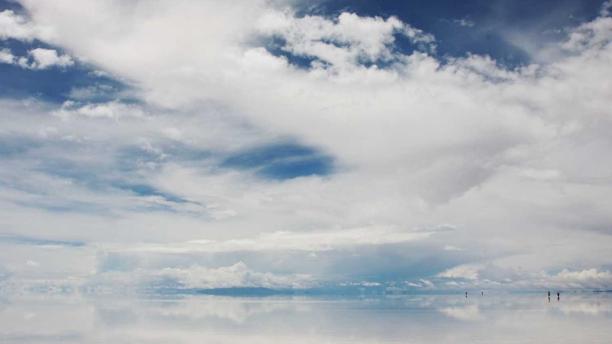 lmf音乐节什么意思