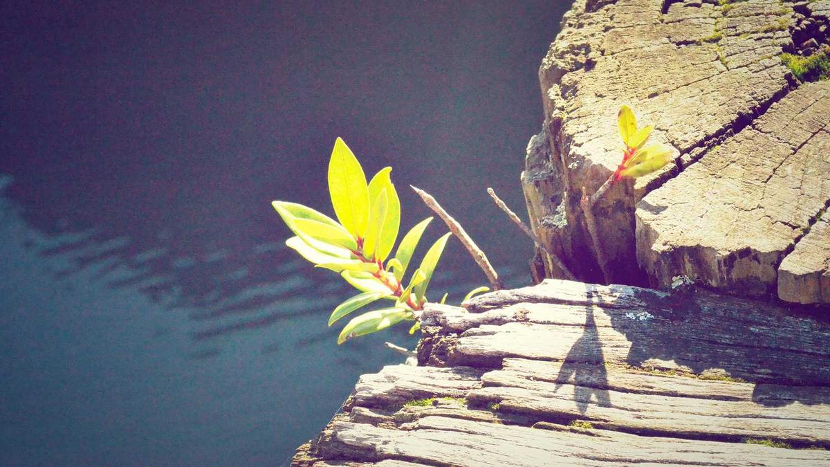 内蒙古自治区和9市3盟人文地图