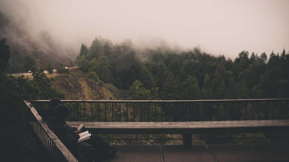 十大热点药材,人气有点高!