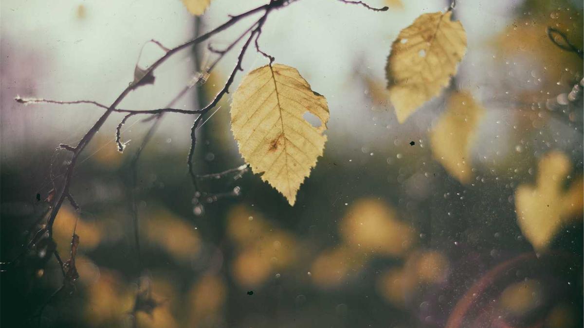 内蒙古巴彦淖尔市简介