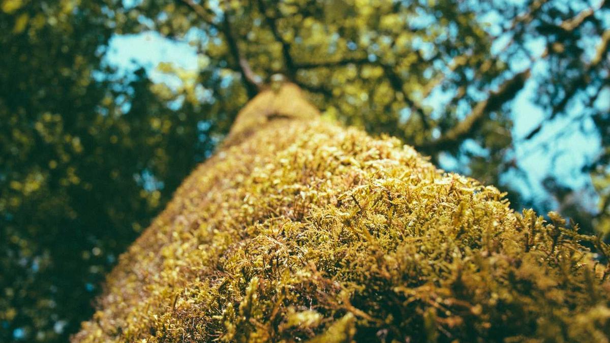 这才是真正为人民服务的好书记