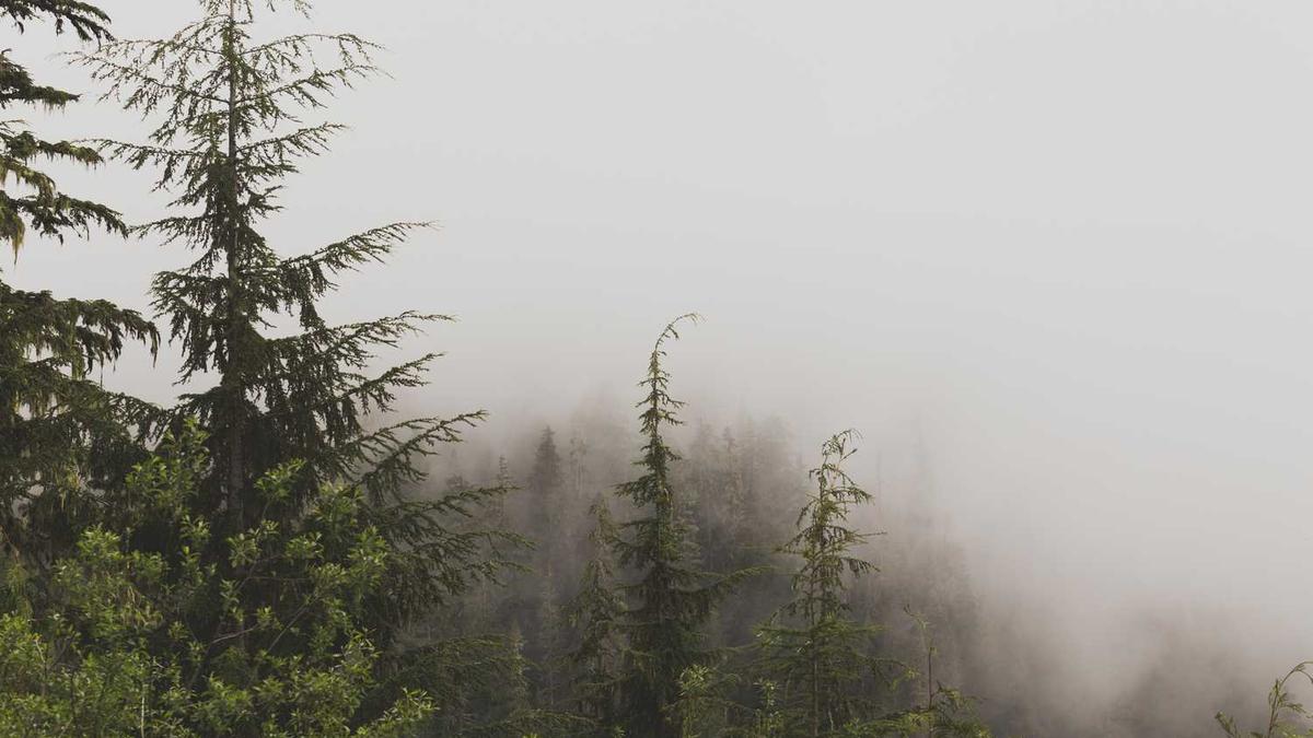 太原师范学院有几个校区及校区地址哪个校区最好