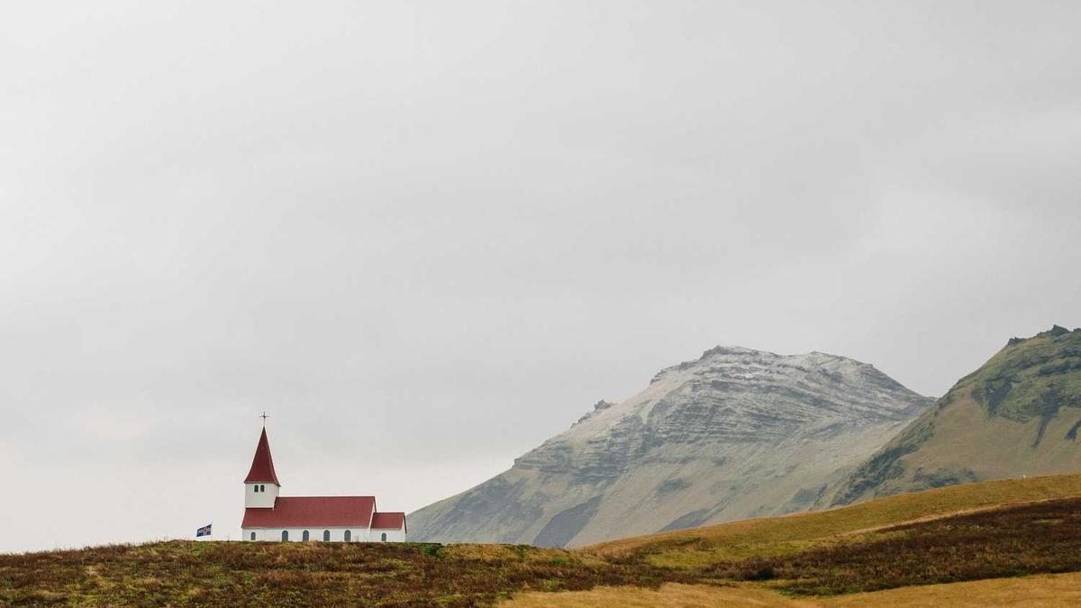 王信卿的工作经历