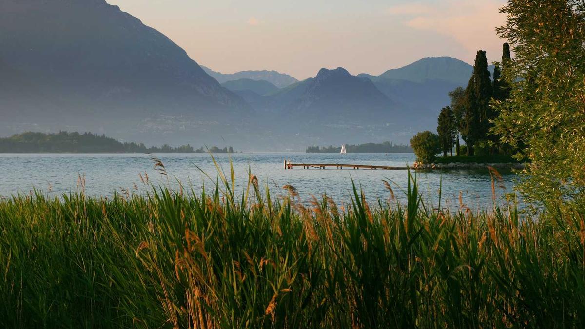 大连职业技术学院和鞍山职业学院哪个好