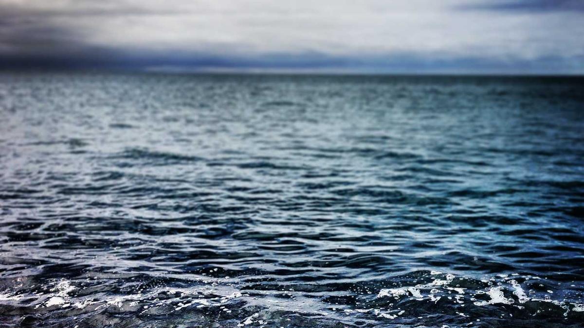 天门山国家森林公园和张家界森林公园是同一个地方