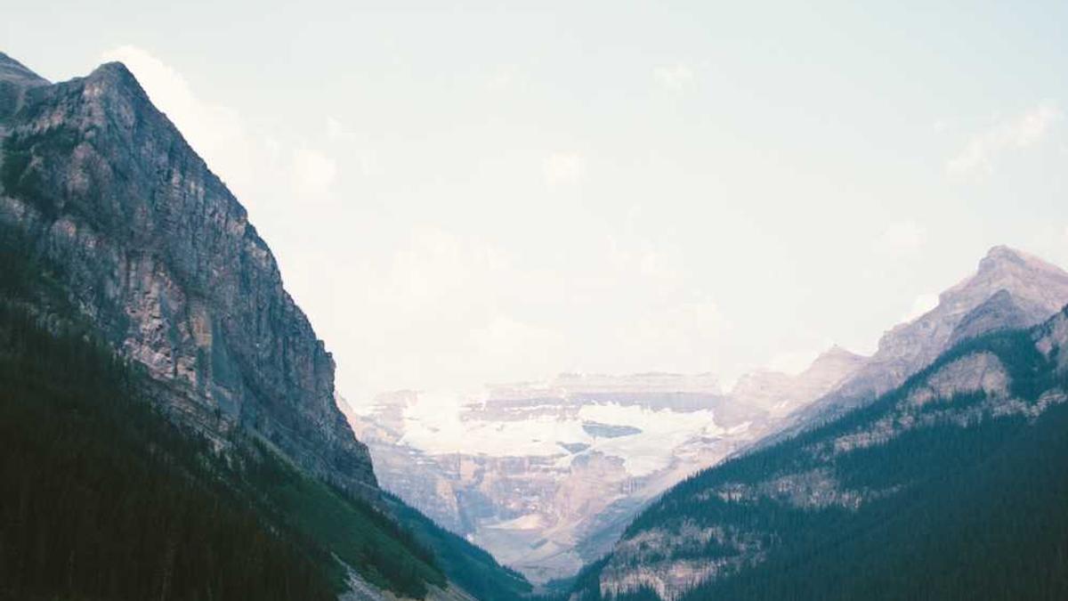 中国防疫政策何时能调整