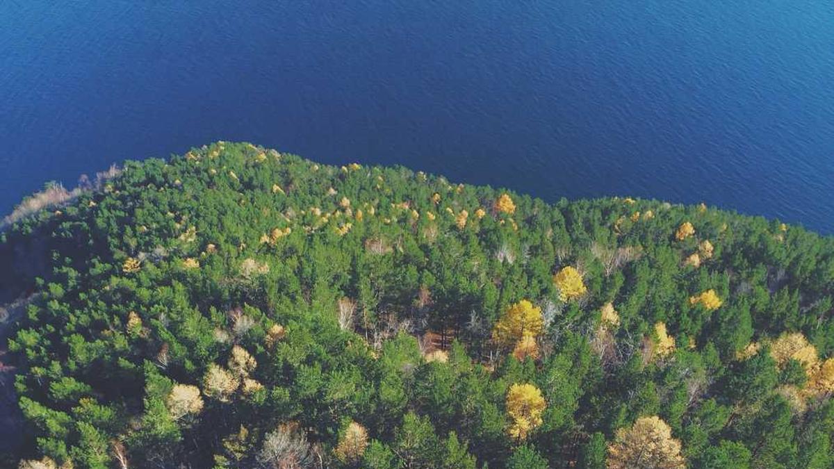 潍坊理工学院位置