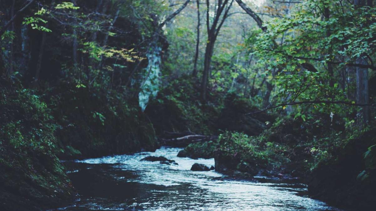 为什么梅州被称之为“柚子之乡”?