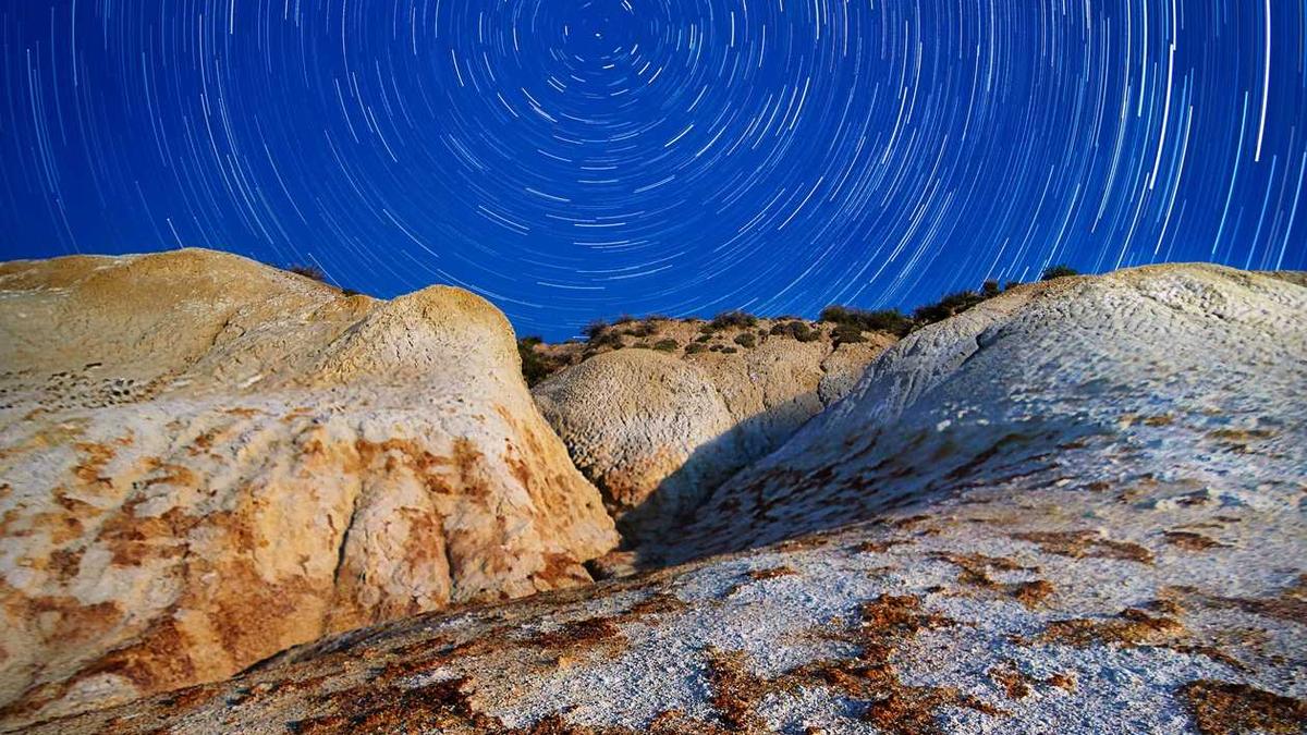 牡丹江养犬管理条例