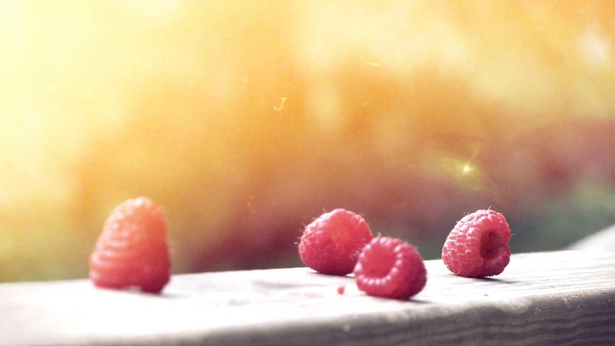 火车t126次车时客表