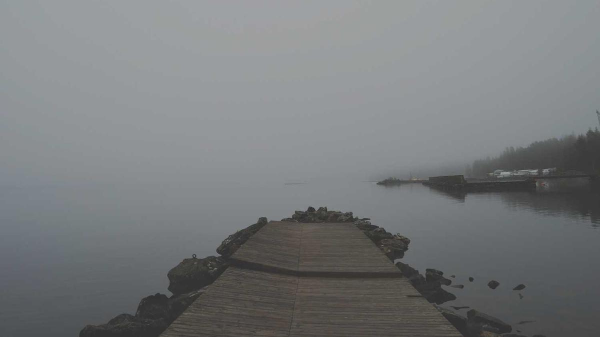 你我同心反诈同行的手抄报怎么画