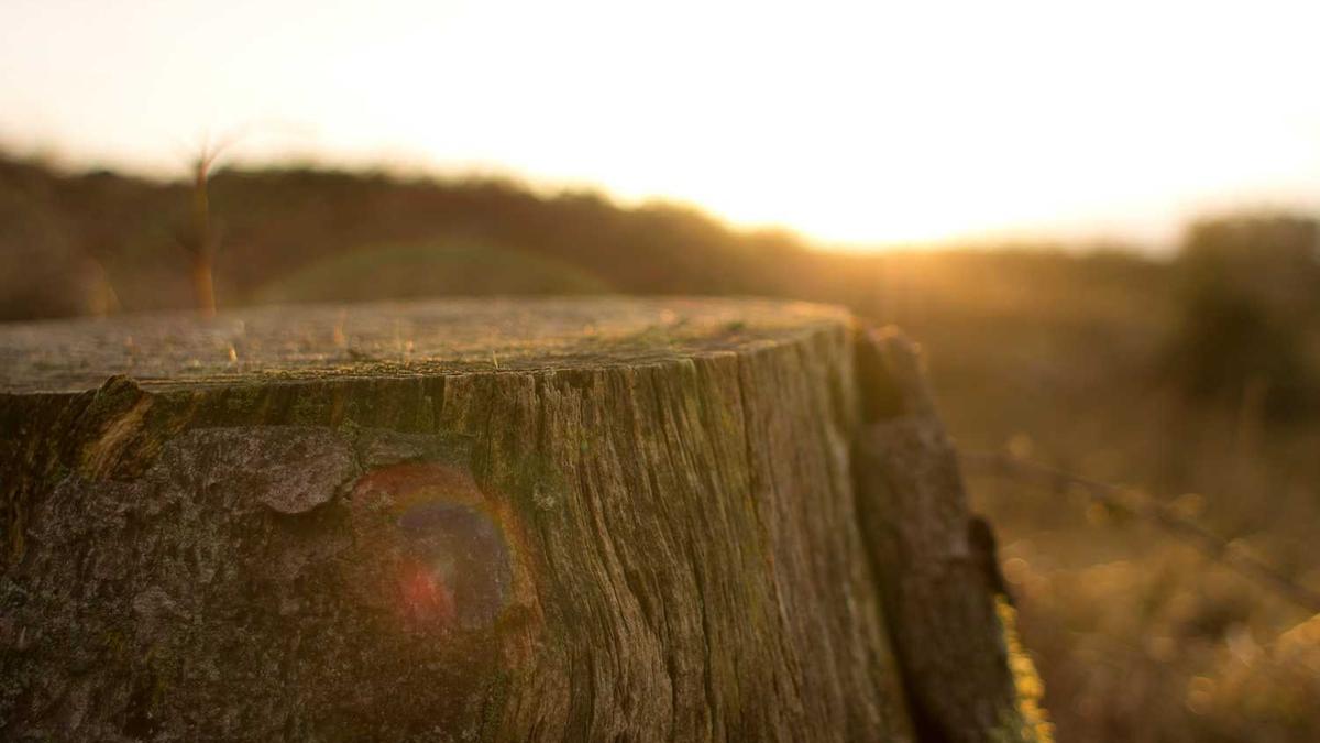 最全——杭州四季青女装批发市场进货攻略
