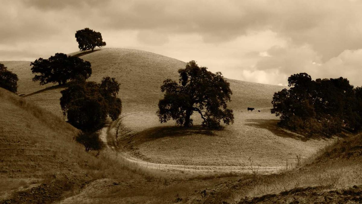 2023吉林省公务员考试报名入口官网是哪个