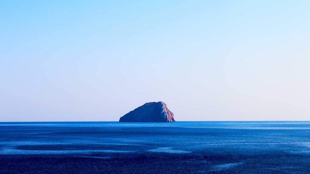 市委办是干什么的